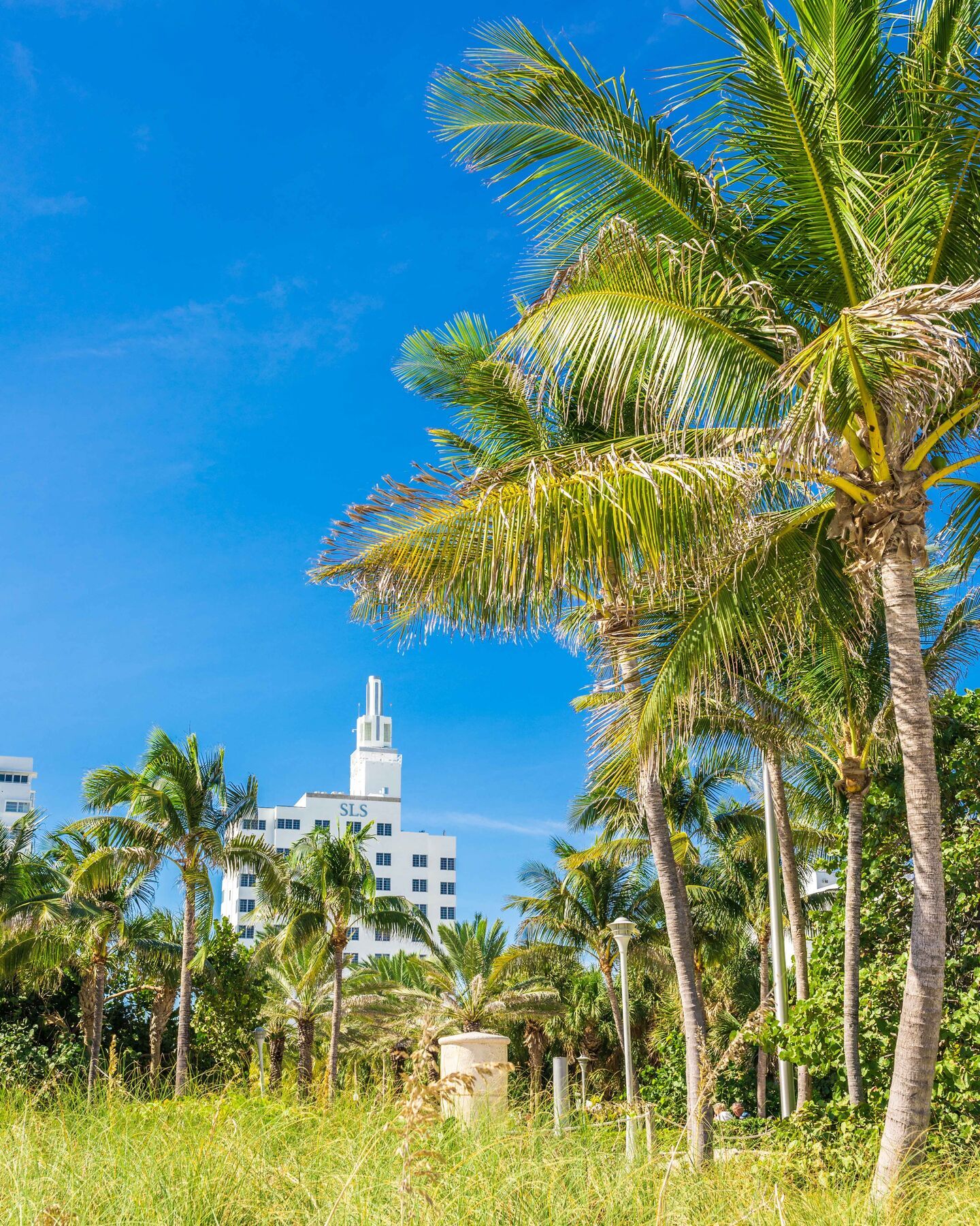 Sls South Beach (Adults Only) Miami Beach Kültér fotó